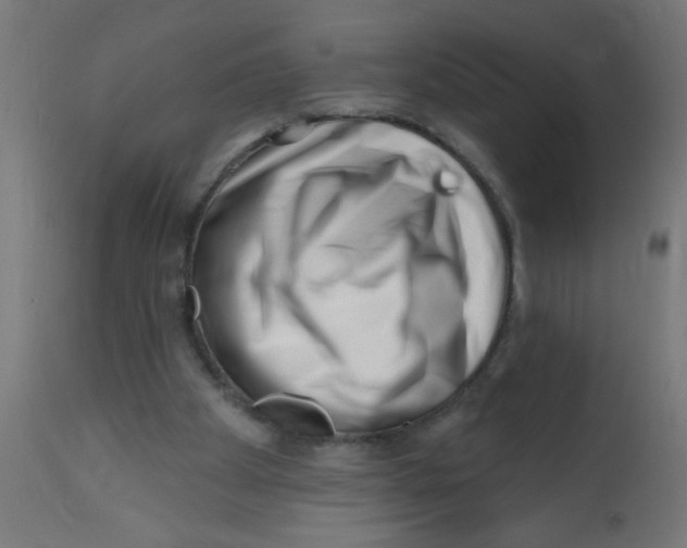 X0000113200105200910081301