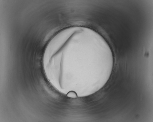X0000113200106200910081301