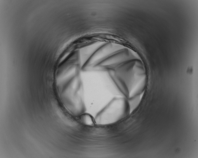 X0000113200107200910081301