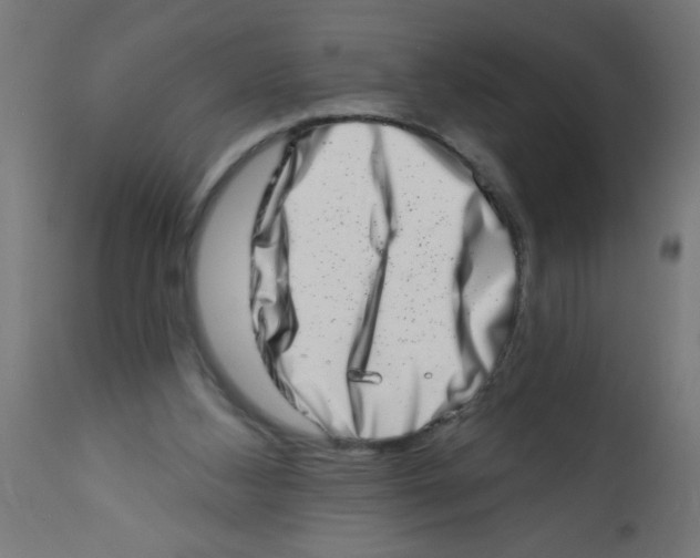 X0000113200108200910081301