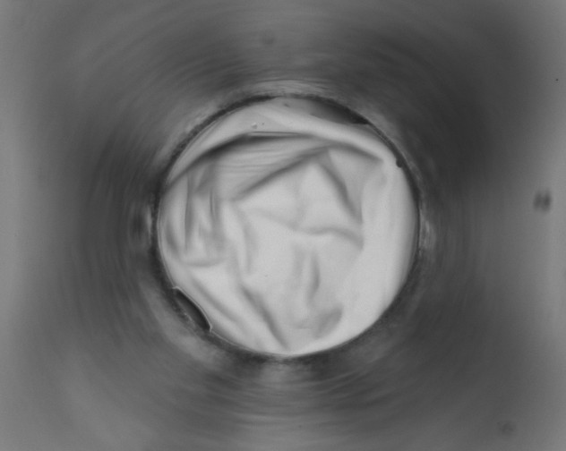 X0000113200109200910081301