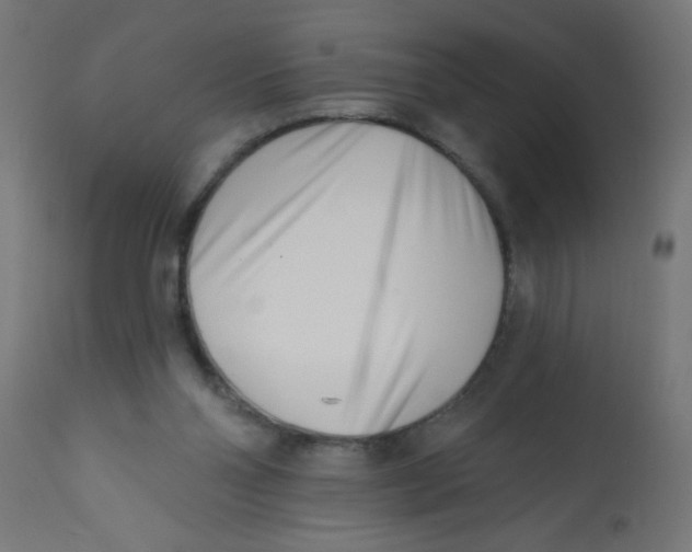 X0000113200110200910081301