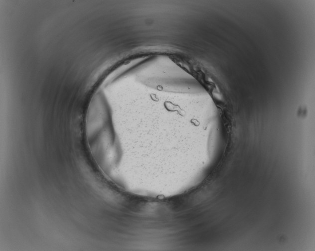 X0000113200111200910081301