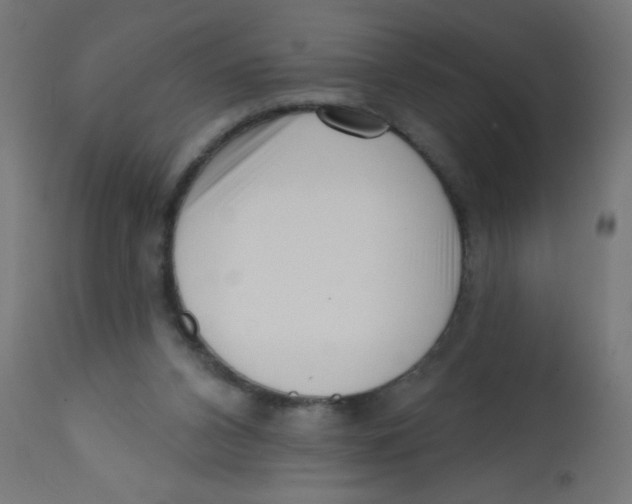 X0000113200112200910081301
