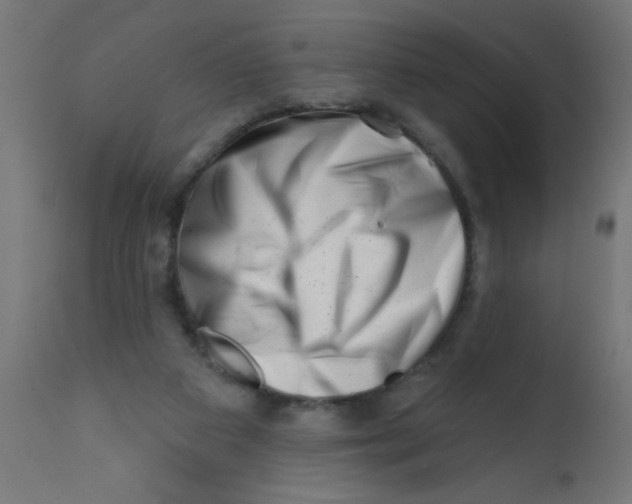 X0000113200113200910081301