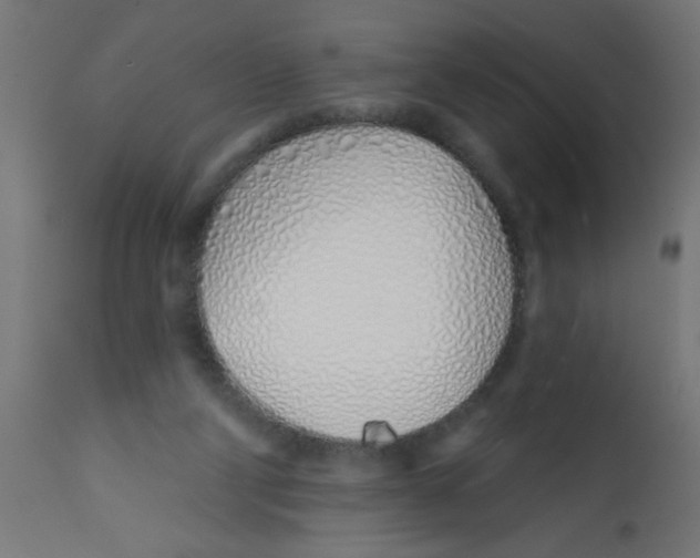 X0000113200114200910081301