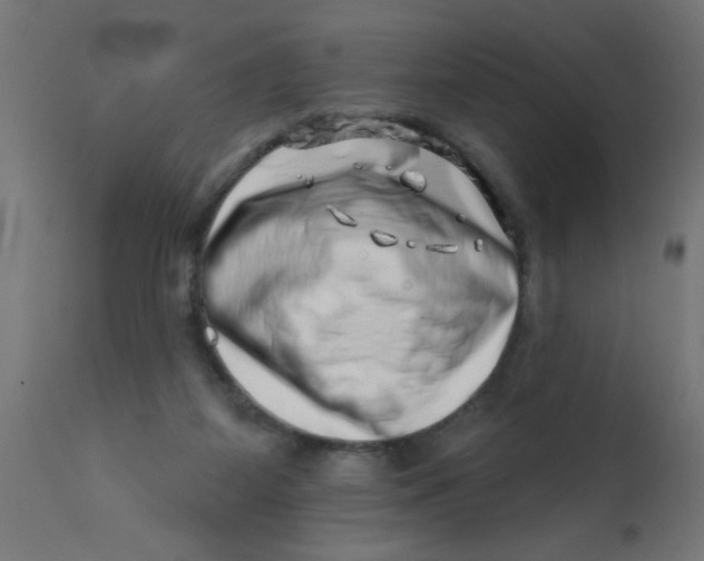 X0000113200115200910081301