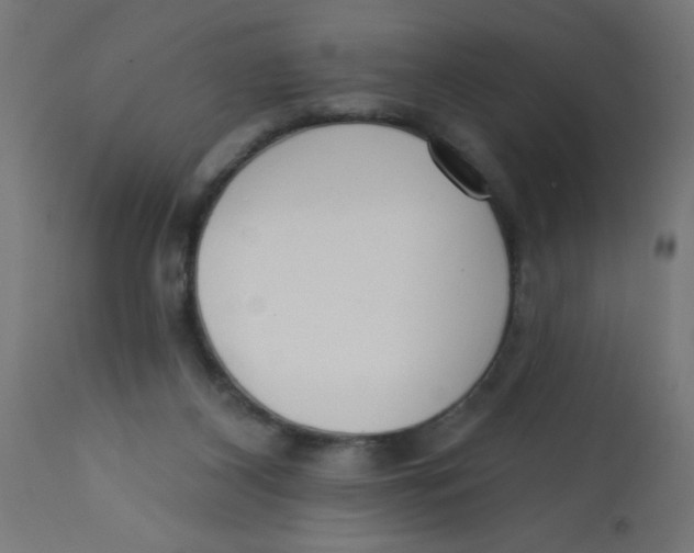 X0000113200116200910081301