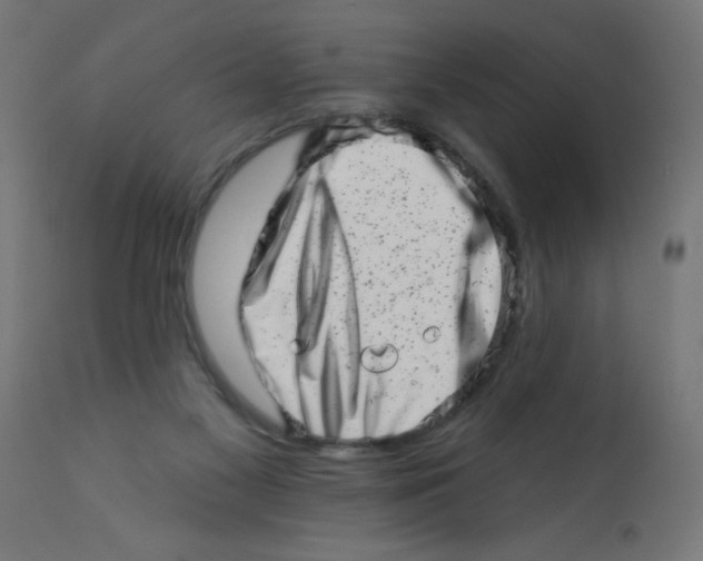 X0000113200117200910081301