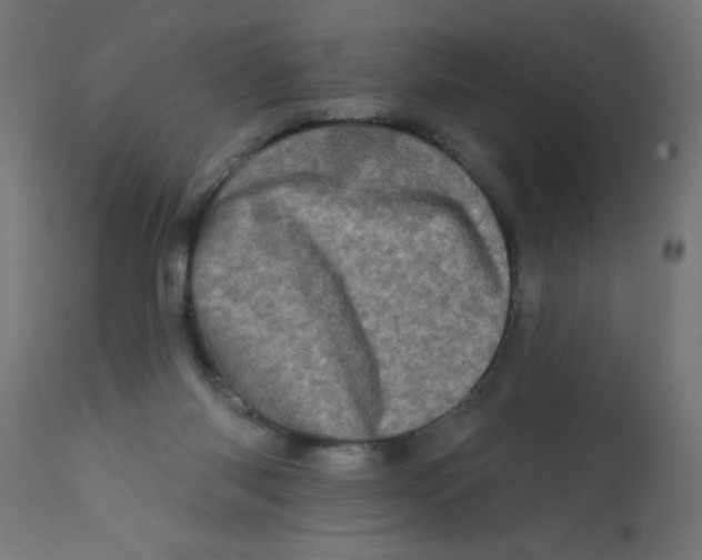 X0000113200118200910081301