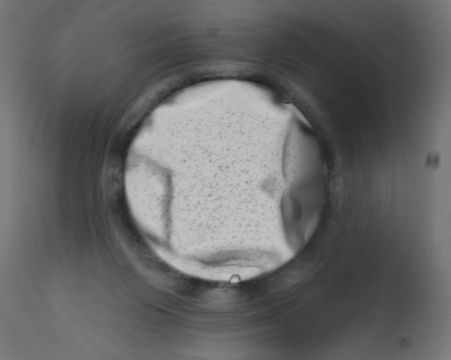 X0000113200119200910081301