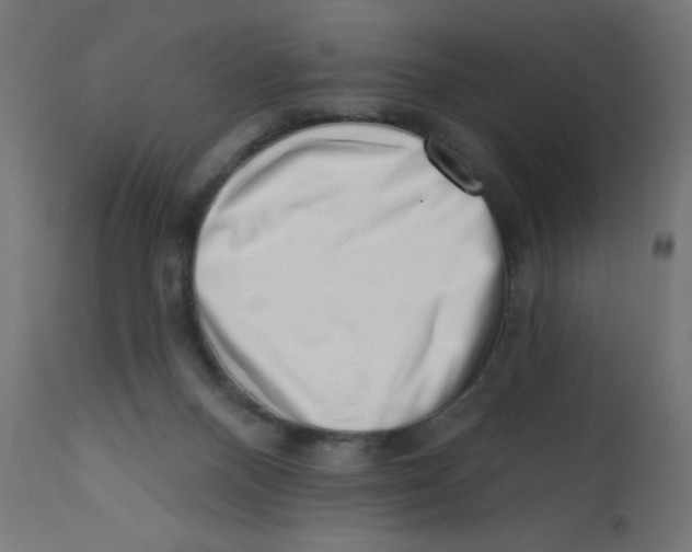 X0000113200120200910081301
