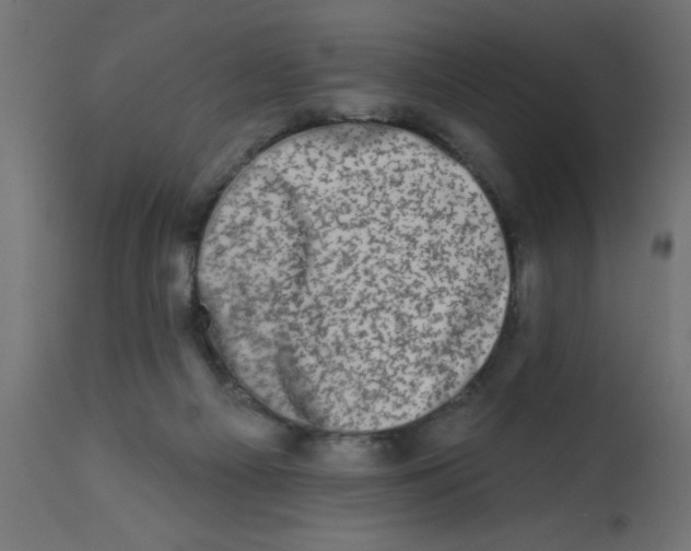 X0000113200121200910081301