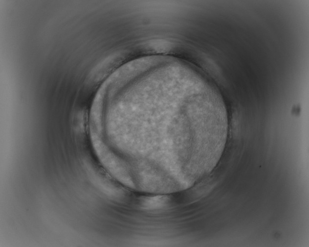 X0000113200122200910081301