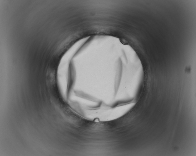X0000113200123200910081301