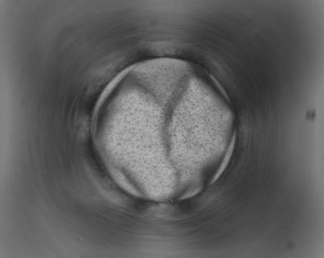 X0000113200125200910081301