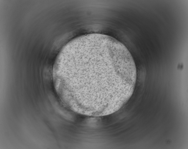 X0000113200126200910081301