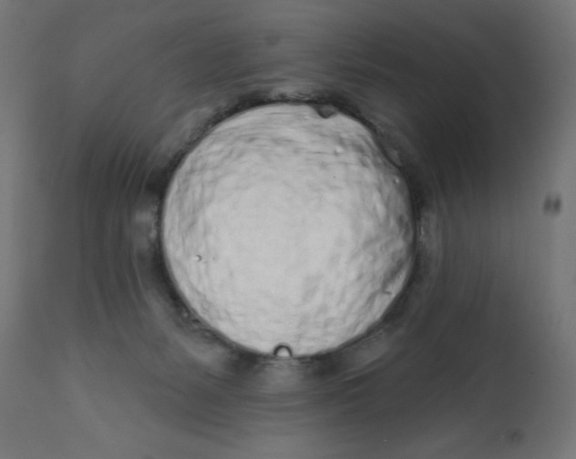 X0000113200127200910081301