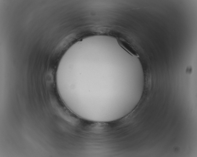 X0000113200128200910081301