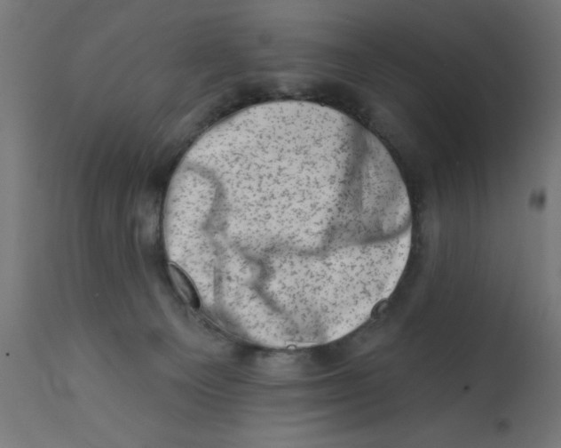 X0000113200129200910081301