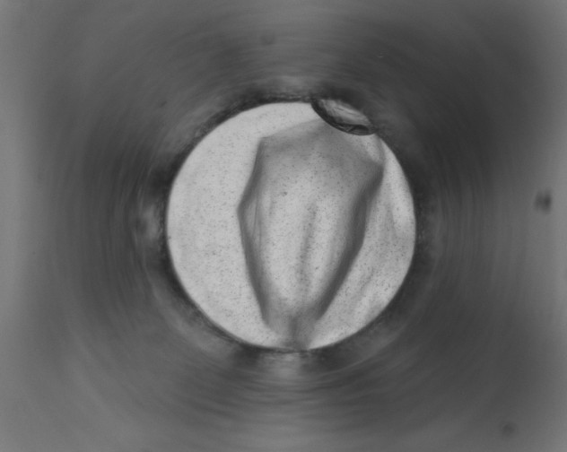 X0000113200131200910081301