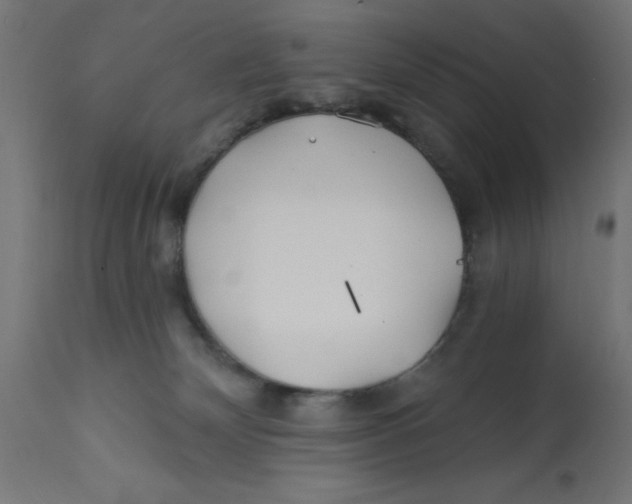 X0000113200132200910081301
