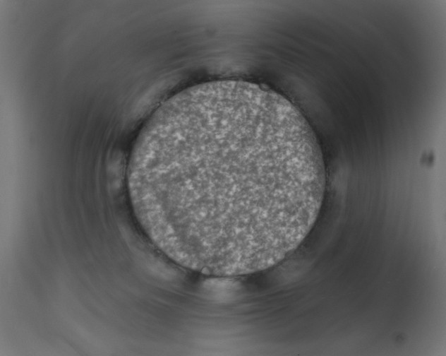 X0000113200133200910081301