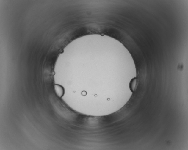 X0000113200134200910081301