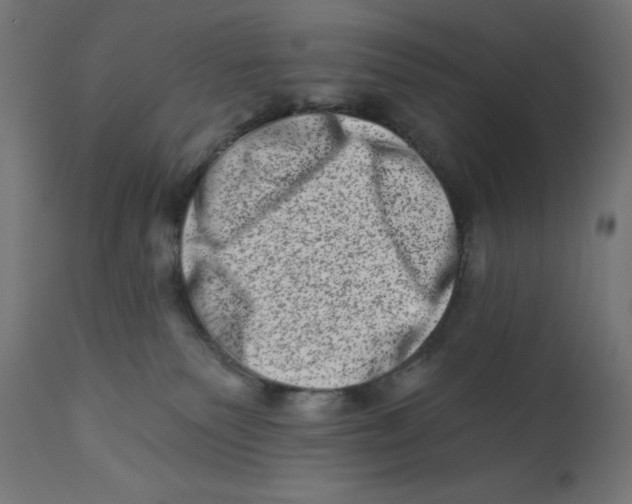 X0000113200135200910081301
