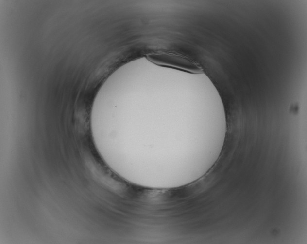X0000113200136200910081301
