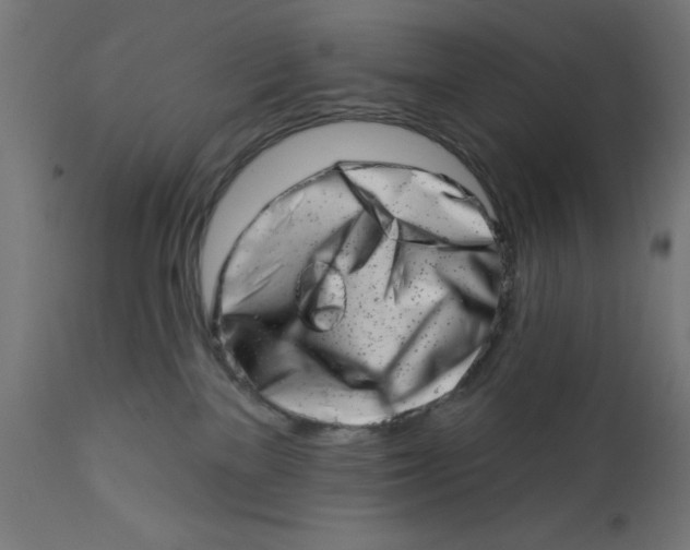 X0000113200137200910081301