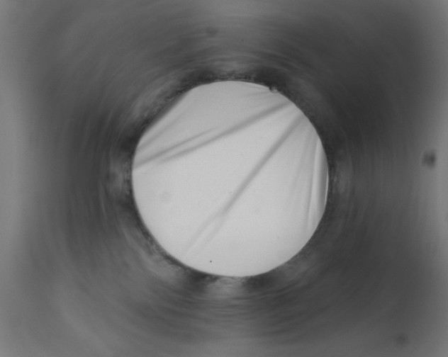 X0000113200138200910081301