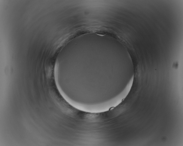 X0000113200139200910081301