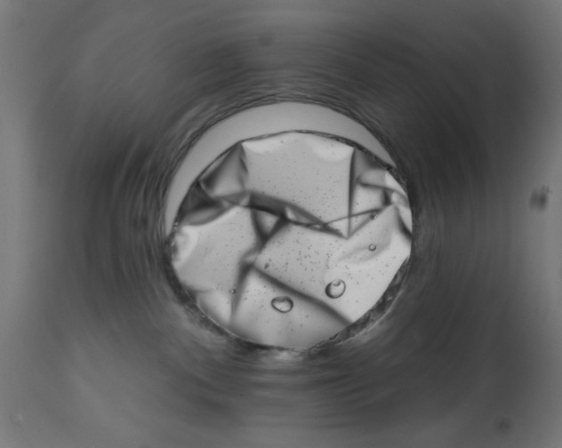X0000113200140200910081301