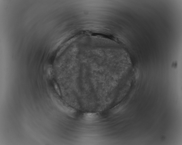X0000113200141200910081301