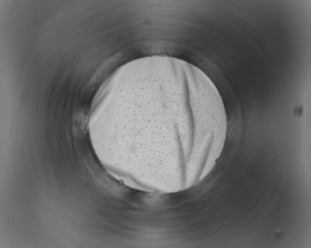 X0000113200142200910081301