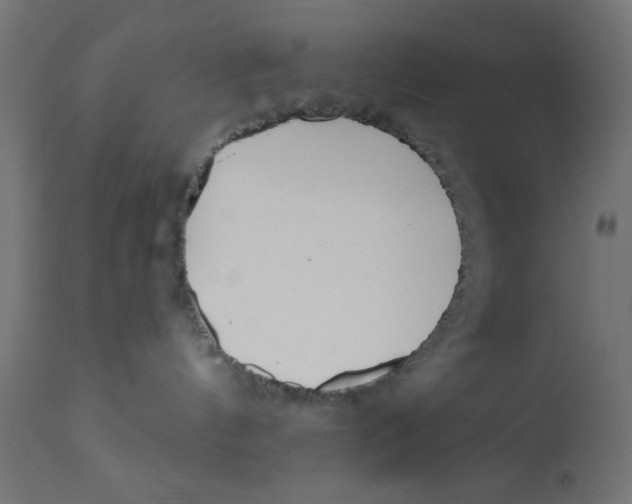 X0000113200144200910081301