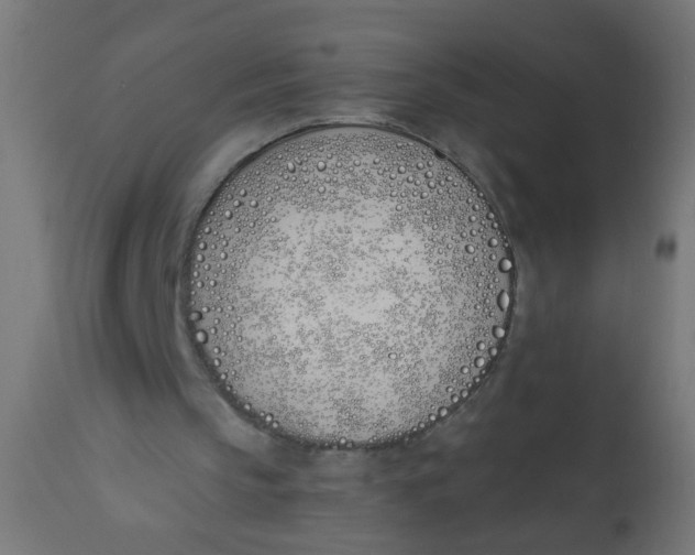 X0000113200145200910081300