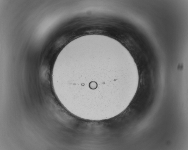 X0000113200146200910081300
