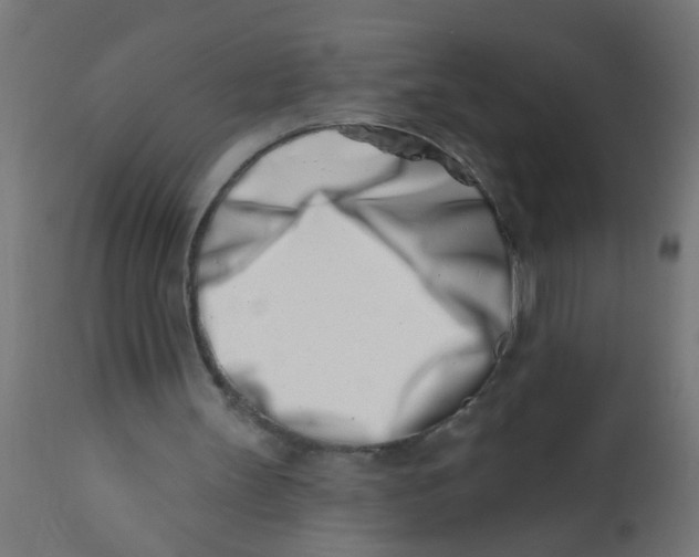 X0000113200147200910081300