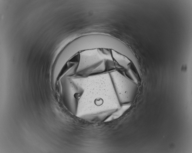 X0000113200148200910081300
