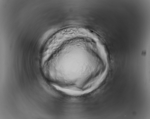 X0000113200149200910081300