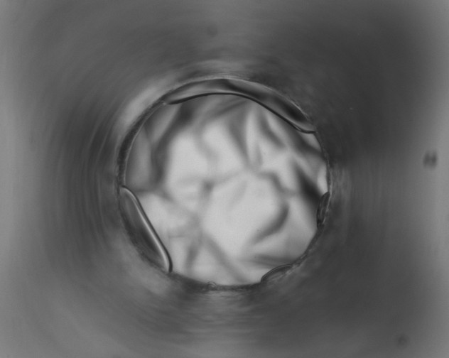 X0000113200150200910081300