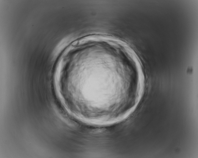 X0000113200151200910081300