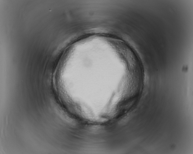 X0000113200153200910081300