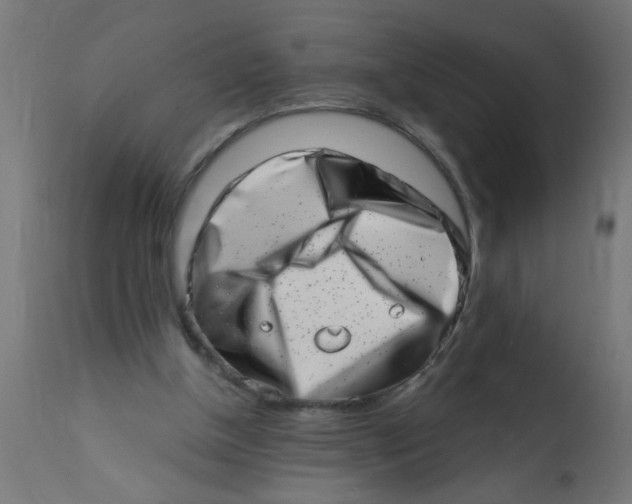 X0000113200154200910081300