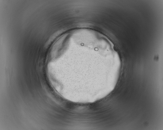 X0000113200155200910081300
