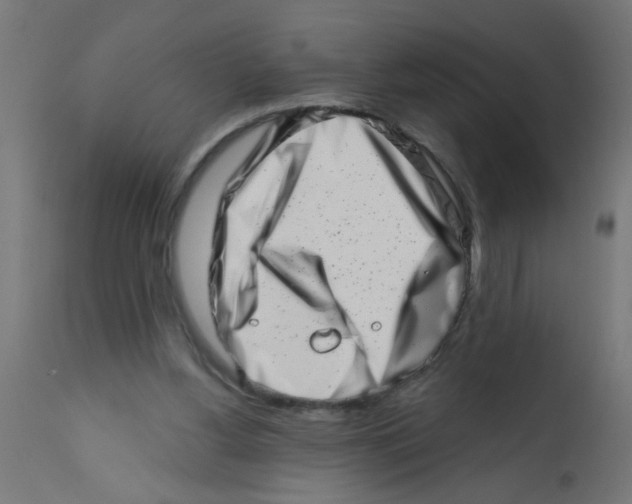 X0000113200156200910081300