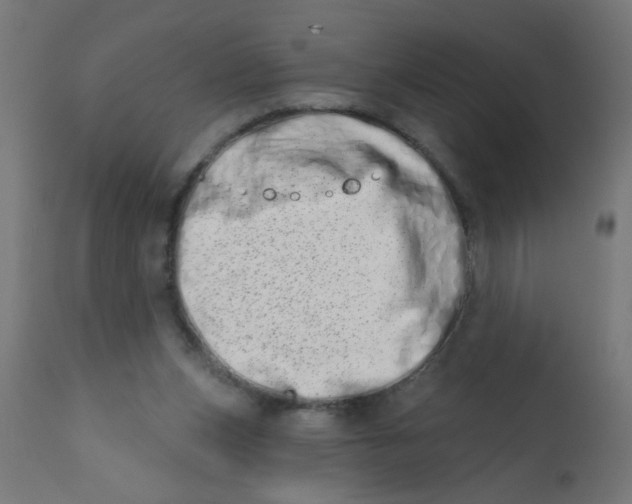 X0000113200159200910081300