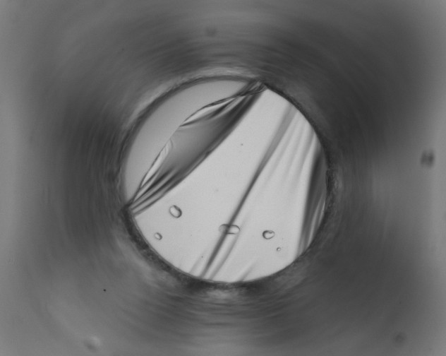 X0000113200160200910081300